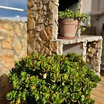 公寓 Casa Joaninha *